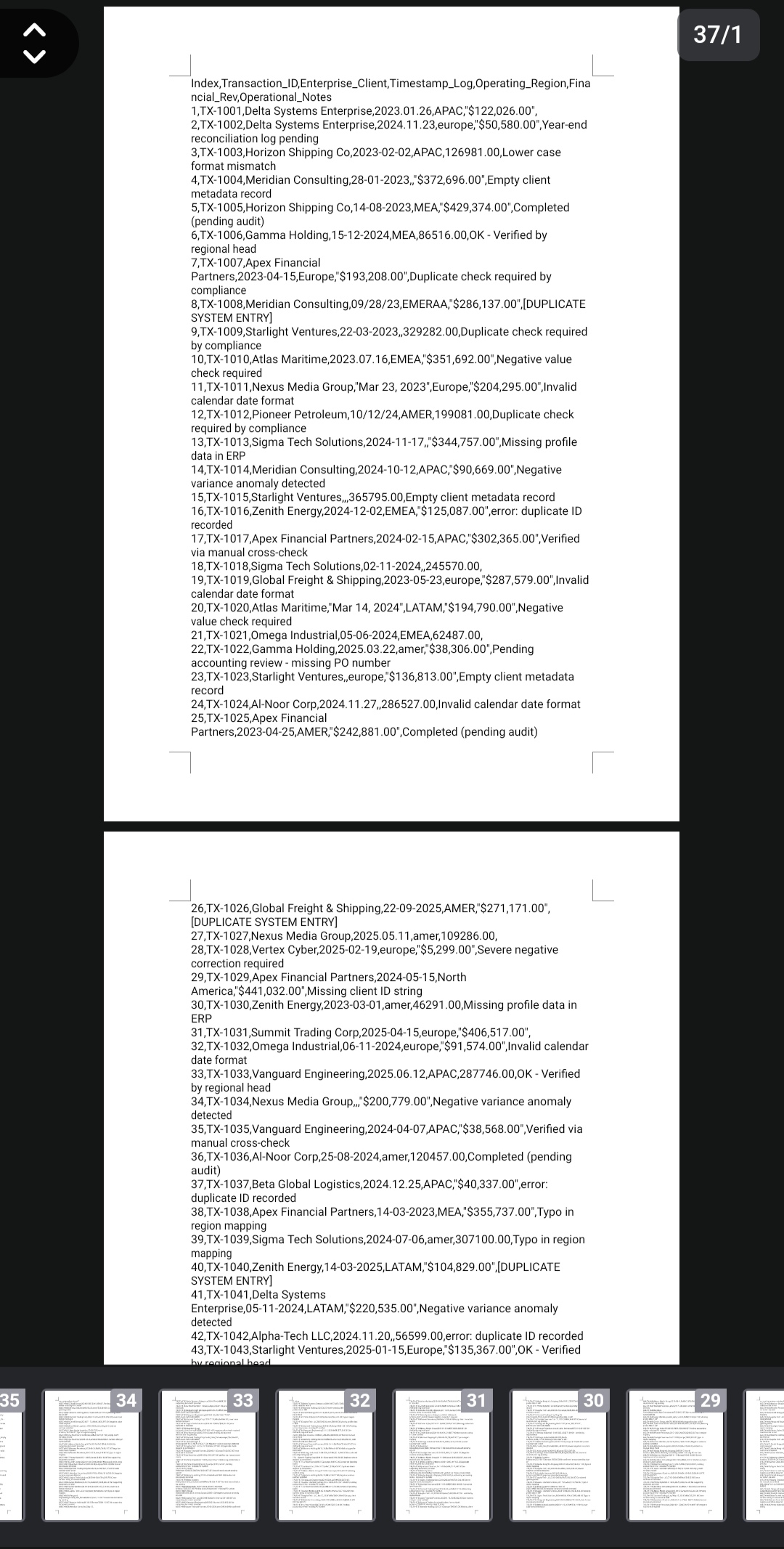 Raw Chaos File